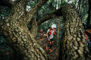 BIB: 
                            <button type="button" onclick="openModal(25392922)" class="btn btn-primary btn-sm float-right btn-popup" data-toggle="modal" data-target=".modal-high-quality">
                        <i class="fas fa-shopping-cart"></i> Add to Cart
                    </button>
                                            <button type="button" onclick="isThisMe(25392922, true)" class="btn btn-success btn-sm float-right btn-popup btn-isme hidden" data-toggle="tooltip" data-placement="bottom" title="นี่คือรูปของคุณใช่ไหม คลิกที่นี่เพื่อเอาเข้าอัลบั้ม">
                        <i class="fas fa-plus"></i> Add to album
                    </button>
                    <button type="button" onclick="isThisMe(25392922, false)" class="btn btn-warning btn-sm float-right btn-popup btn-isnotme hidden">
                        <i class="fas fa-ban"></i> Remove from album
                    </button>